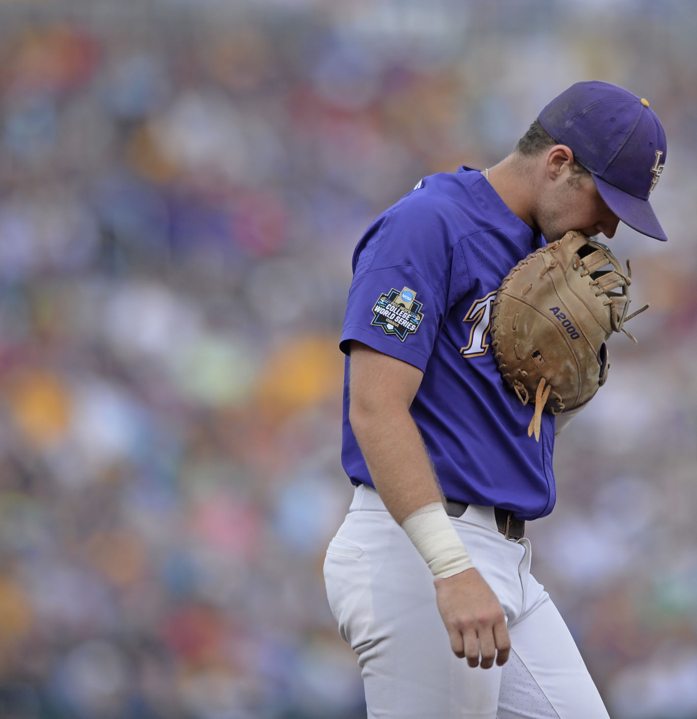 BR.lsuflorida.062817 HS 562.JPG